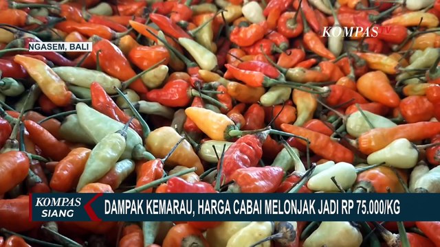 Harga Cabai Meroket Hingga Rp75 Ribu Per Kilogram, Warga Pilih Kurangi Pembelian!