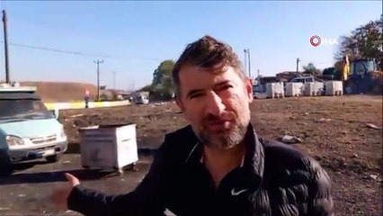 Görenlerin içi acıdı: Yol ortasındaki at ölüme terk edildi