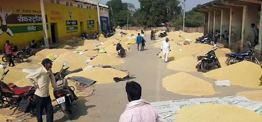 अरनोद मंडी में सोयाबीन के भाव