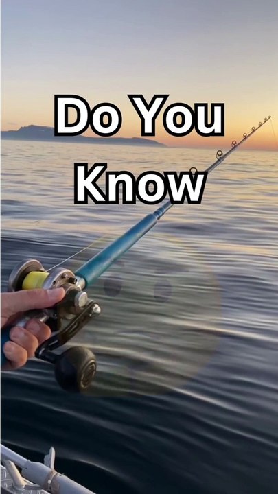 You know 