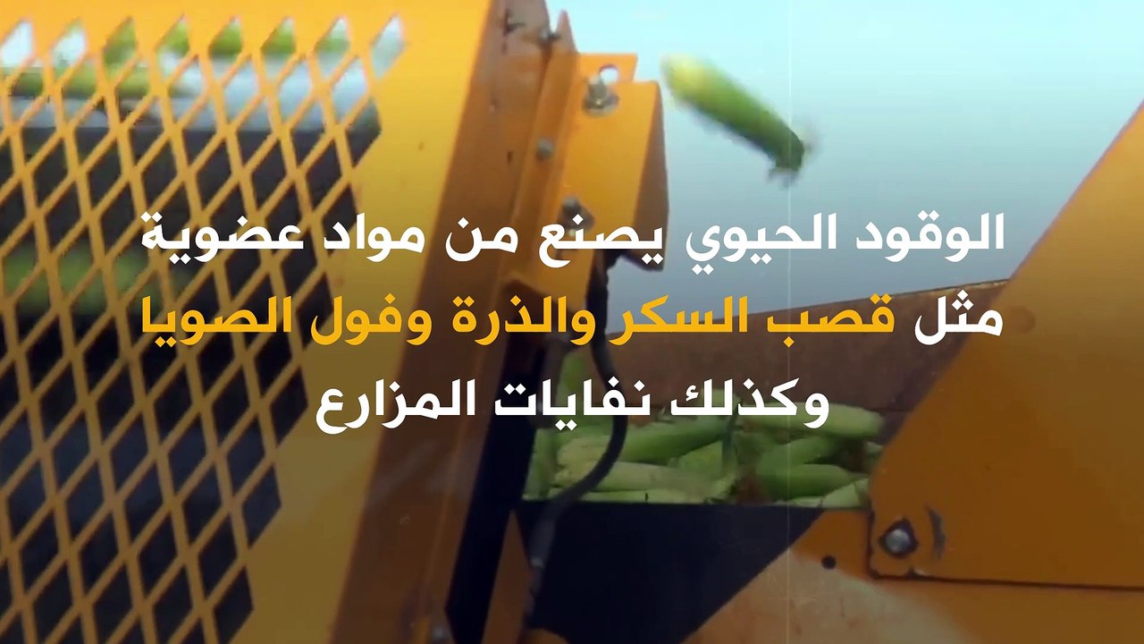 كيف تستفيد صناعة السيارات من الوقود الحيوي؟