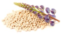 Süßlupinen: Erdnuss-Allergiker sollten vorsichtig sein