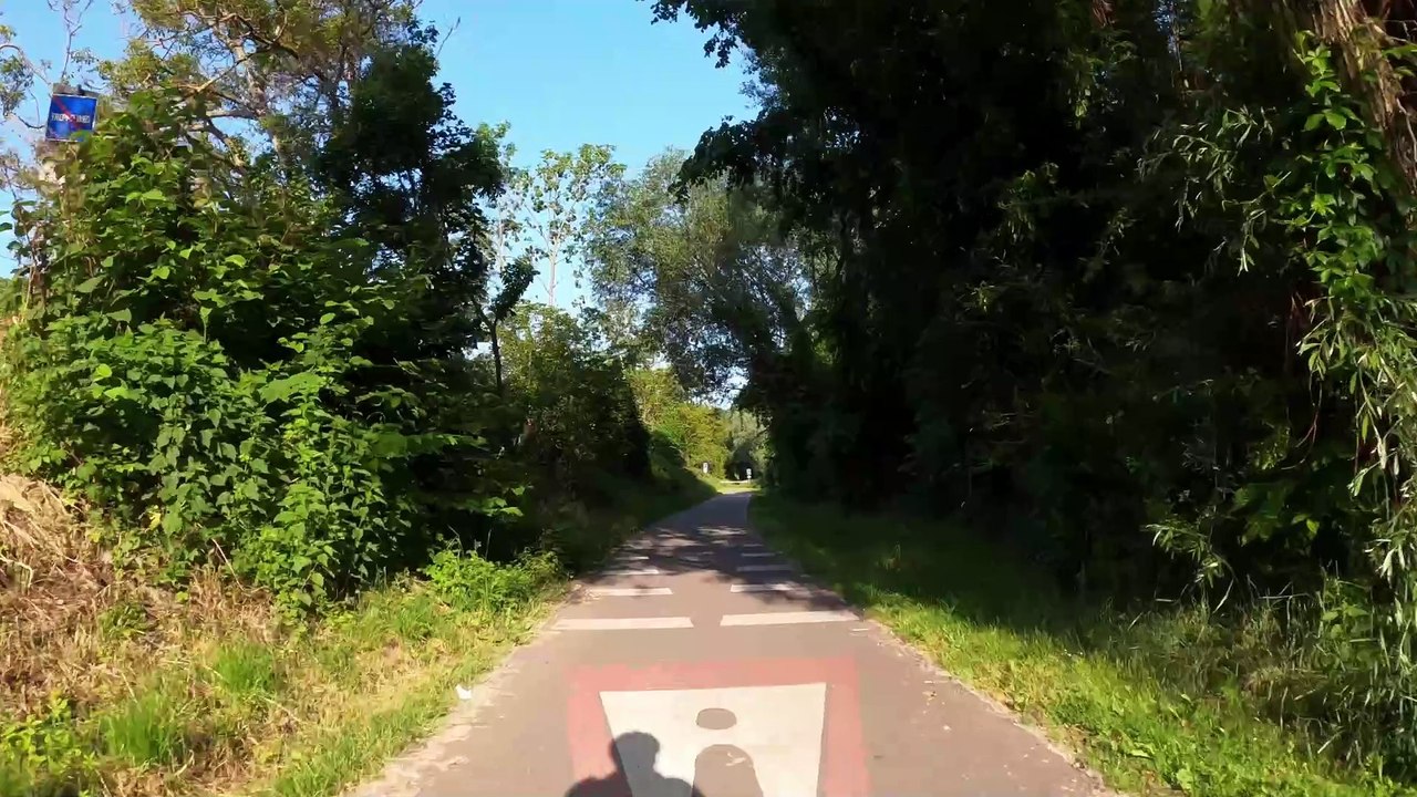 Höflein - Donauradweg nach Greifenstein (7)