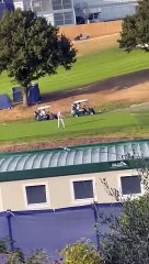 When Nothing Can Distract You From Playing Golf