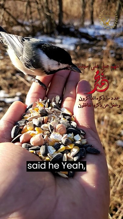 اللهم يارزق اللسالين