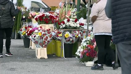 Download Video: El sector funerario se une a las tendencias en innovación y sostenibilidad por Todos los Santos