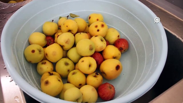 Vanlı ev kadını, kurduğu atölyede 30 çeşit doğal sirke üretiyor