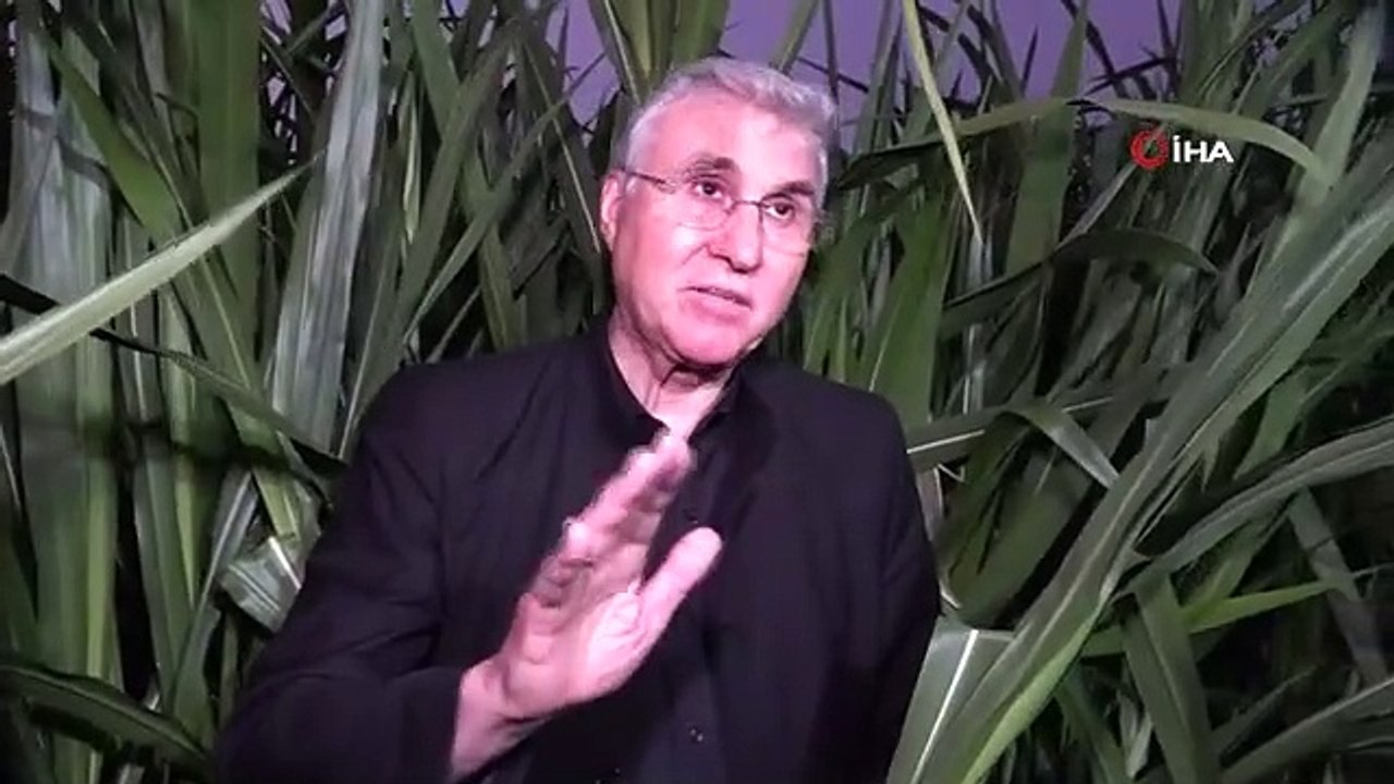 Yem maliyetini yarıya düşürecek bitki Sakarya'da üretiliyor