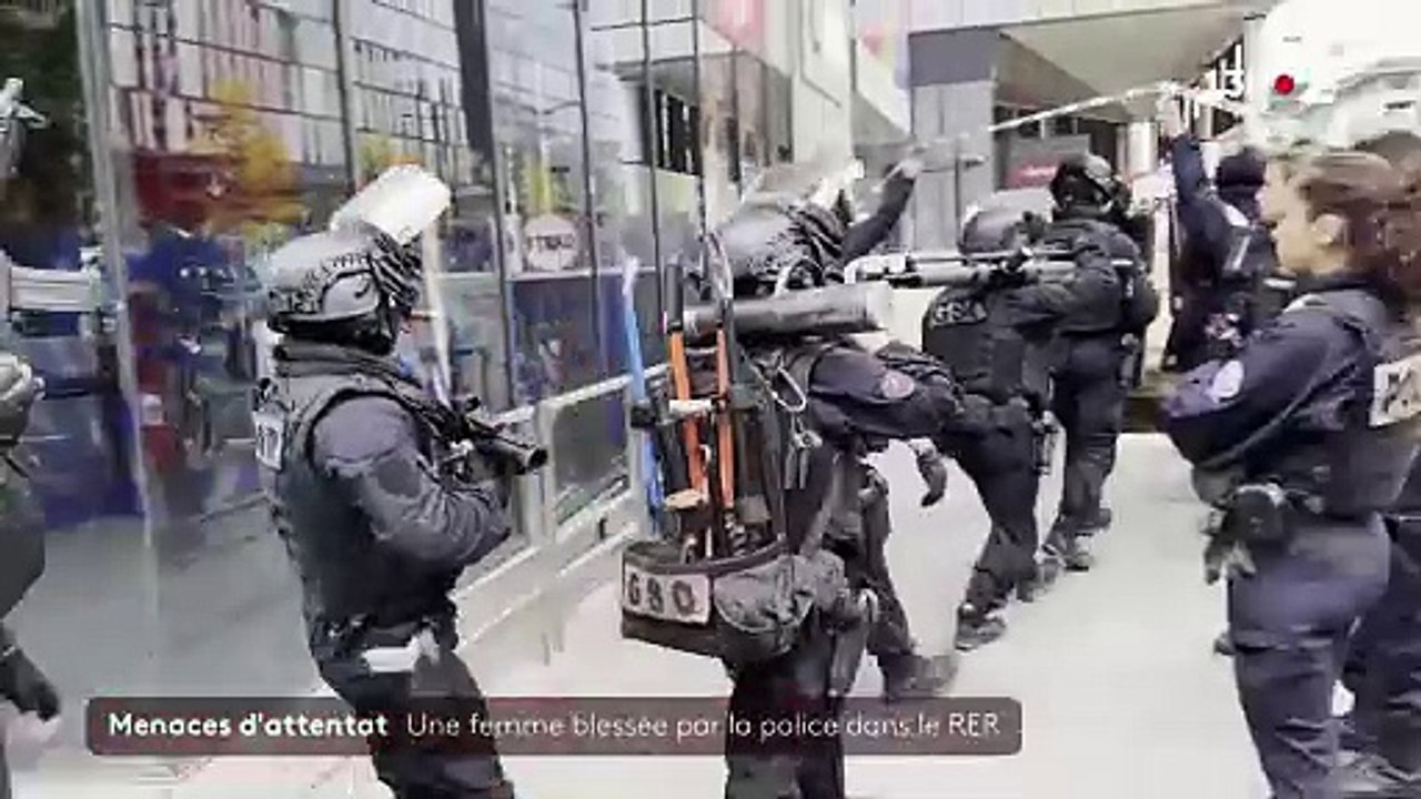 Femme voilée menaçante dans le RER C:  Regardez le moment où les policiers ont fait usage de leurs armes à plusieurs reprises à la station Bibliothèque François Mitterrand - VIDEO
