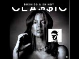 Bushido & Shindy - Rap Leben