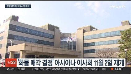 표류하는 화물 사업 매각…아시아나 이사회 11월 2일 재개