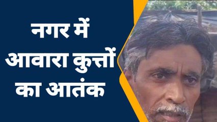 जालौन: नगर में दिखा कुत्तों का आतंक,बकरियों पर हमला कर उतारा मौत के घाट