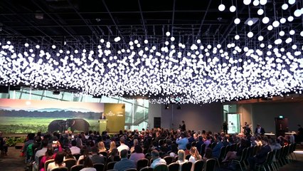 Prince William hails new illegal wildlife trade clamp-down