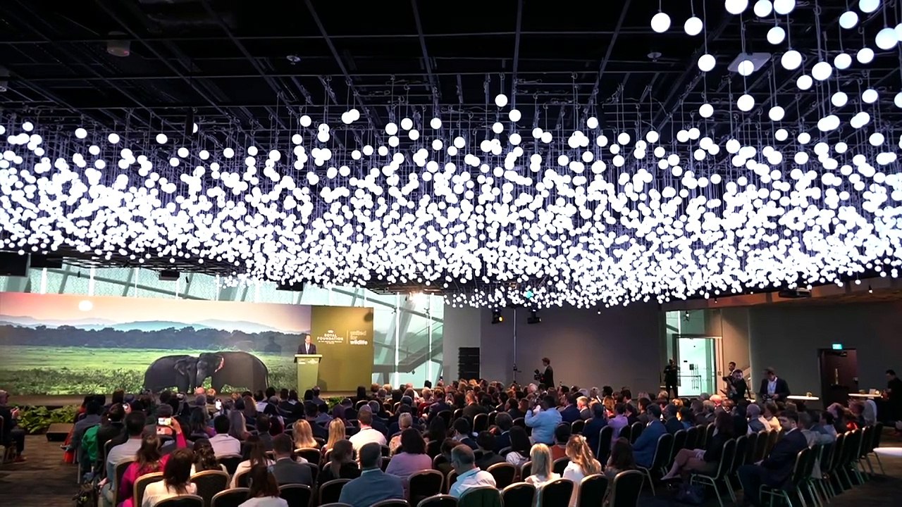 Prince William hails new illegal wildlife trade clamp-down