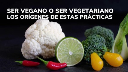 SER VEGANO o SER VEGETARIANO