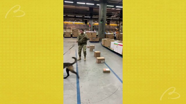 Drogas que seriam enviadas via Correios por traficantes são apreendidas durante operação em Curitiba