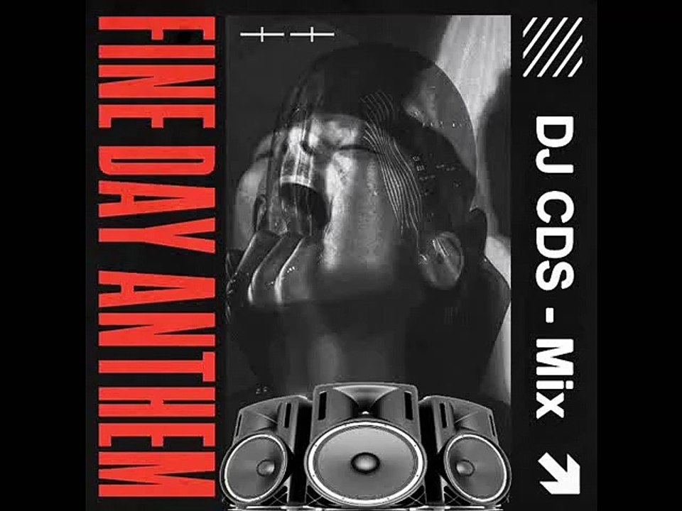 Skrillex & Boys Noize - Fine Day Anthem (DJ CDS - Mix)
