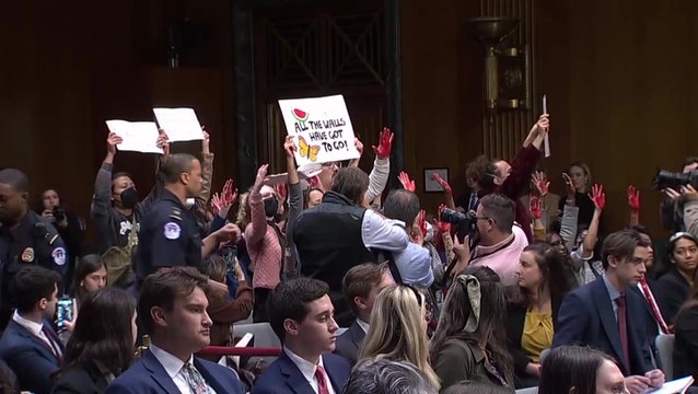 Protesters calling for ceasefire in Gaza interrupt Blinken testimony to Senate