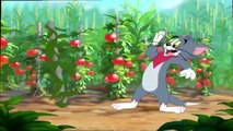 Tom and Jerry - Summer Squashing - Tom and Jerry cartoon for kids