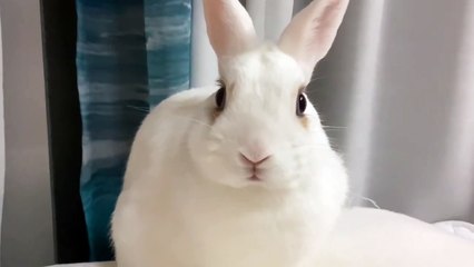 Brianna Beach - Welcome Home