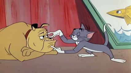 Tom & Jerry - Episode 124 Classic Cartoon - Much Ado about Mousing