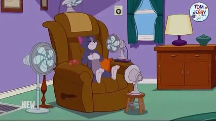 The Tom and jerry show season 3 episode 36 every one into pool best show in 2020 (TOM & JERRY A.)