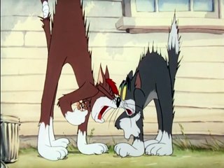 Tom and Jerry - Sufferin` cats! (Best moments)