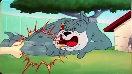 Tom and Jerry - The Framed Cat - Tom & Jerry movie