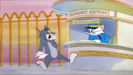 Tom and Jerry - Heavenly Puss 2 - T&J Movie Cartoon For Kids
