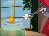 Tom and Jerry cartoon - Jerry and the Goldfish Compilation.