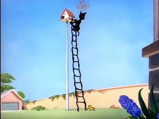 Tom and Jerry cartoon - The Flying Cat Compilation.