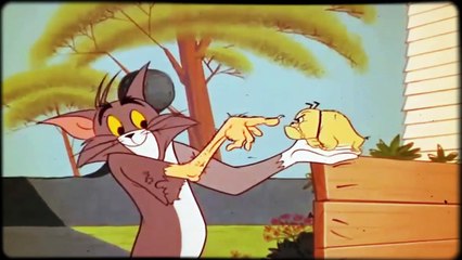 Tom and Jerry English Episodes _ Catch me Out's  [TOM & JERRY CLUB]