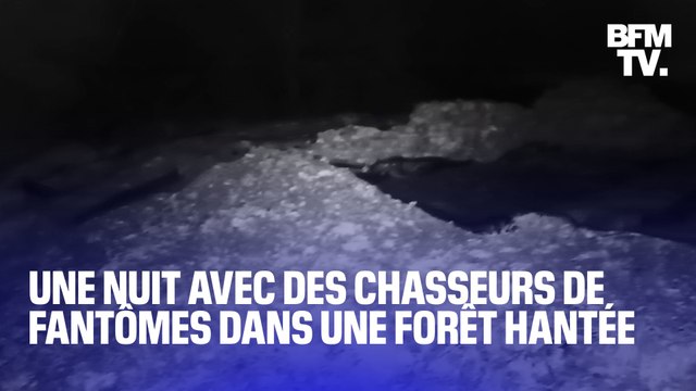 Halloween: On a passé une nuit avec des youtubeurs du paranormal dans la forêt de Fontainebleau