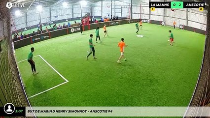 But de Marin D'henry Simonnot - Anscotie 94