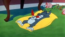Tom and jerry new 2020 show watch till end (TOM & JERRY A.)
