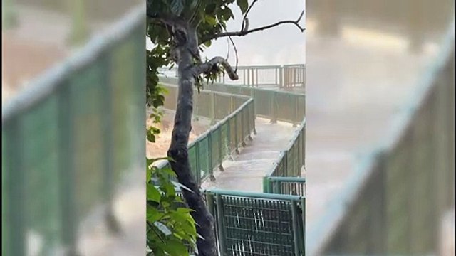 Cataratas del Iguazú registran mayor caudal en casi una década