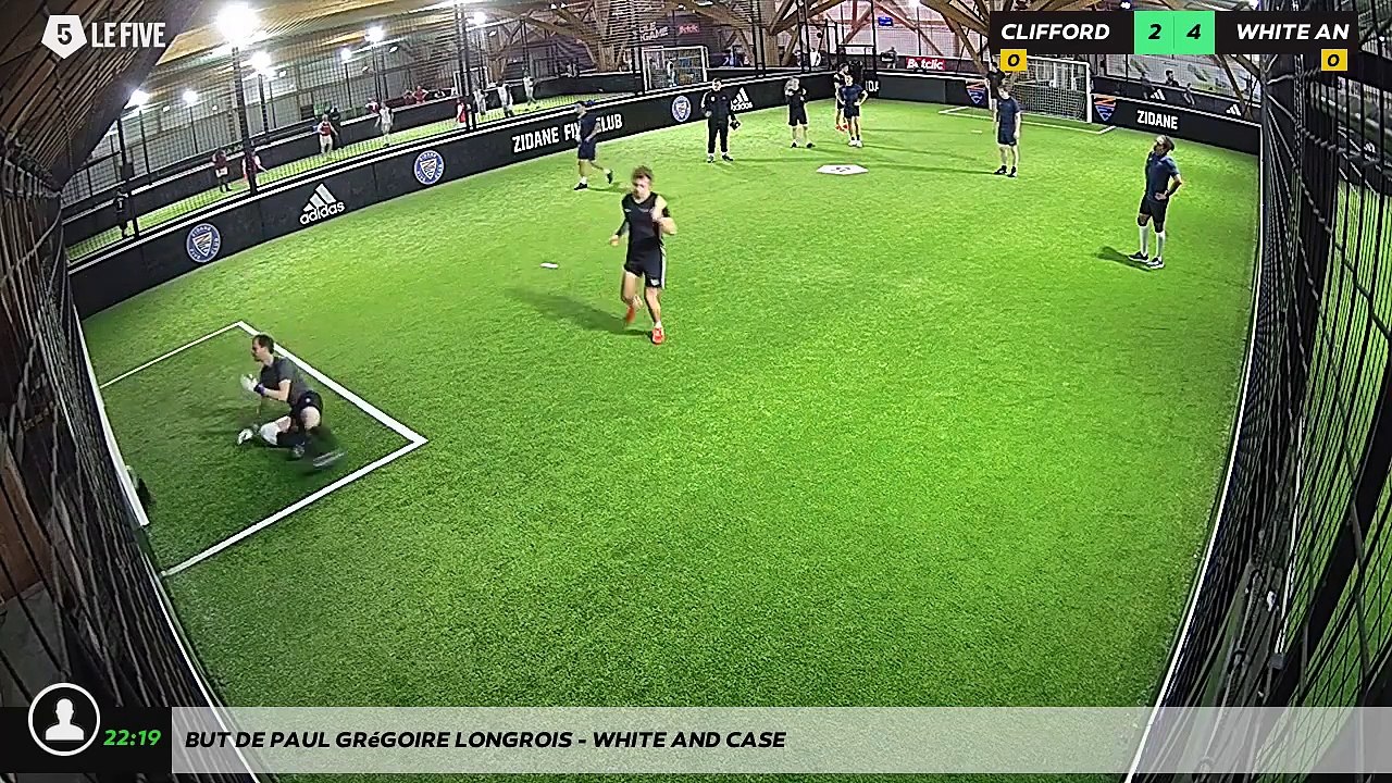 But de Paul Grégoire LONGROIS - WHITE AND CASE