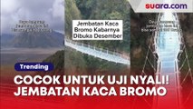 Cocok untuk Uji Nyali! Jembatan Kaca Bromo Dibuka Desember Nanti, Berani Coba?