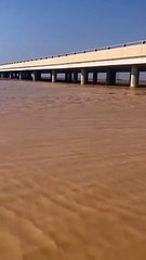 بعد 3 أيام من الأمطار المتواصلة.. شاهد جريان وادي الرمة جنوب غرب حائل