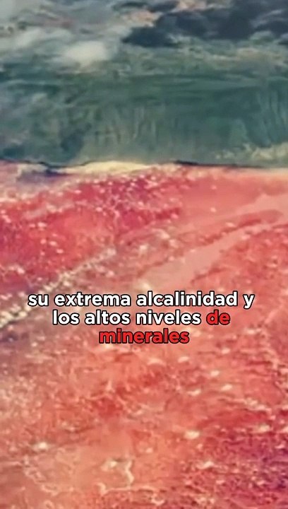 El lago más letal del mundo