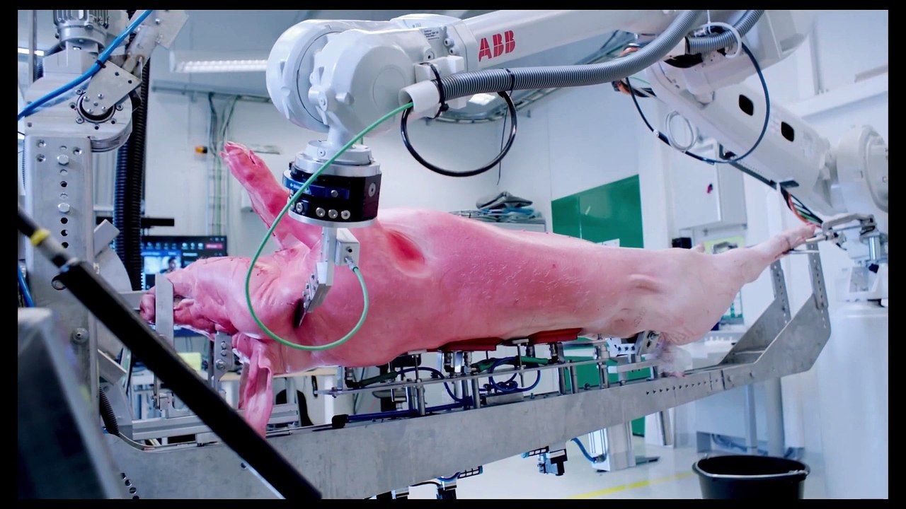 WIR UND DAS TIER EIN SCHLACHTHAUSMELODRAM Film