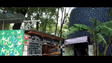 Huerto Roma Verde | Nature Calls