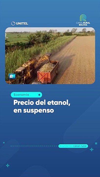 Precio del etanol, en suspenso