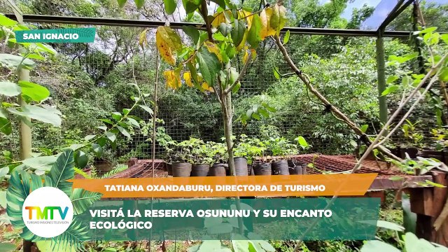 TMTV 66 | Turismo Misiones Televisión | Visita a la Reserva Osununú en San Ignacio y Apóstoles se prepara para la Fiesta de la Yerba