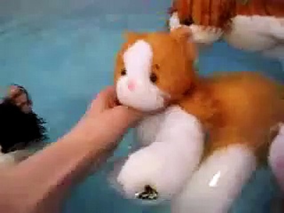 Webkinz Pool Party