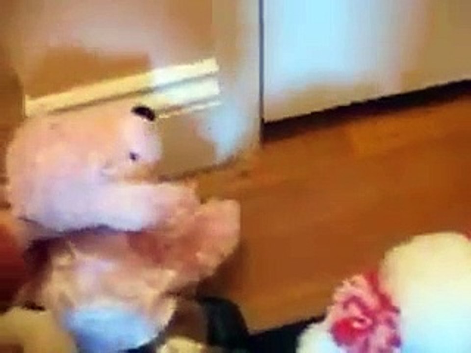 Webkinz Go Trick or Treating