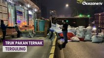 Tabrak Separator Busway, Truk Muatan Pakan Ternak Terguling di Gatot Subroto