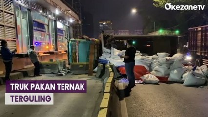 Tải video: Tabrak Separator Busway, Truk Muatan Pakan Ternak Terguling di Gatot Subroto