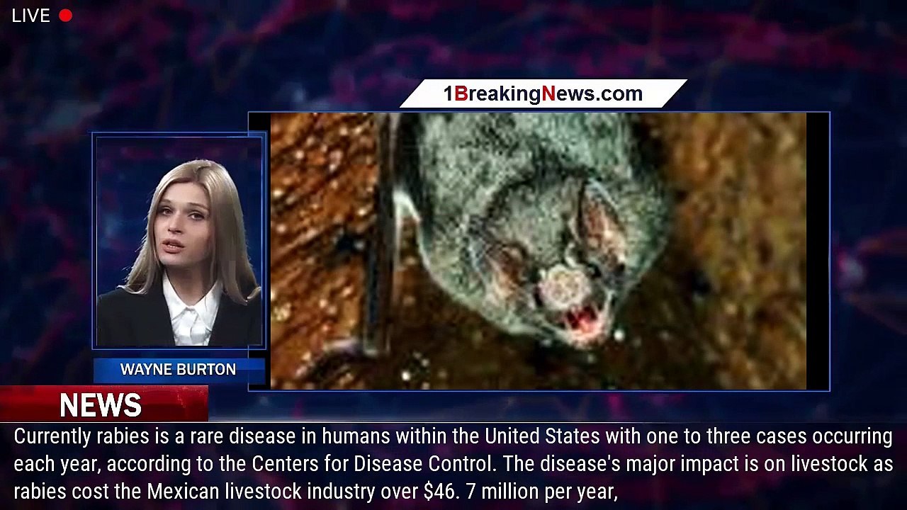 Vampire bat habitat expansion increases risk of rabies, study says