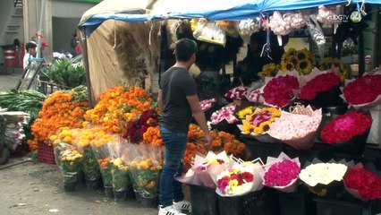 Vendedores de flores garantizan que no habrá aumento de precios para el 2 de noviembre